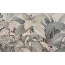 Rauv tapéta / The First