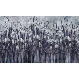 Rauv tapéta / The First