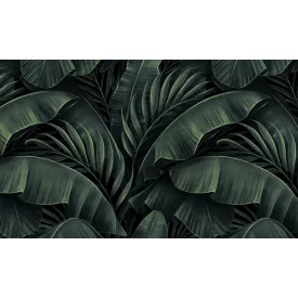 Rauv tapéta / The First