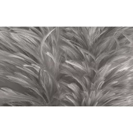 Rauv tapéta / The First