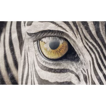 Rauv tapéta / The First