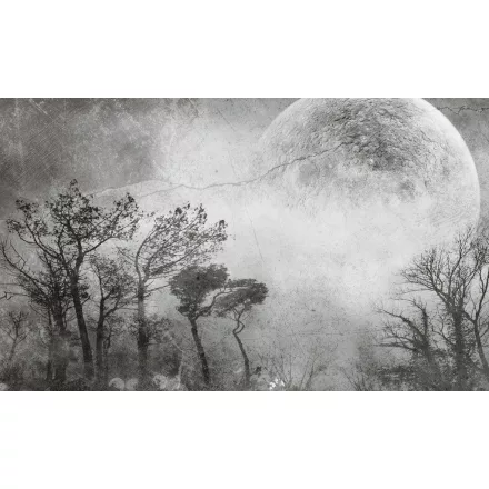 Rauv tapéta / The First