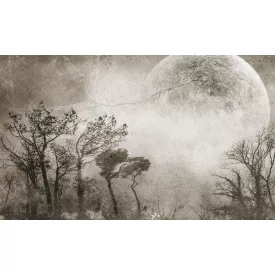 Rauv tapéta / The First