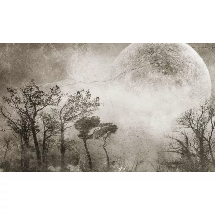 Rauv tapéta / The First