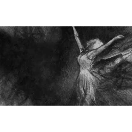 Rauv tapéta / The First