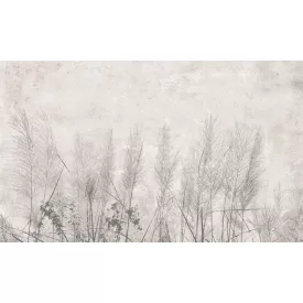 Rauv tapéta / The First