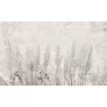 Rauv tapéta / The First