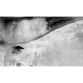 Rauv tapéta / The First