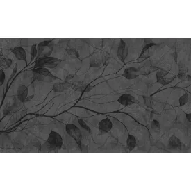 Rauv tapéta / The First