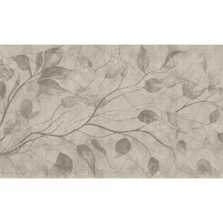 Rauv tapéta / The First