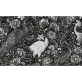 Rauv tapéta / The First