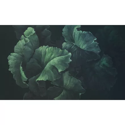 Rauv tapéta / The First