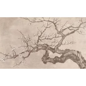 Rauv tapéta / The First