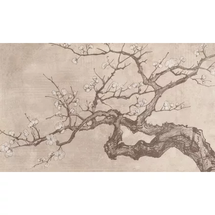 Rauv tapéta / The First