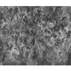 Rauv tapéta / Harmony