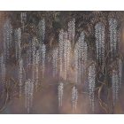 Rauv tapéta / Harmony