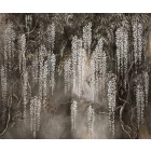 Rauv tapéta / Harmony