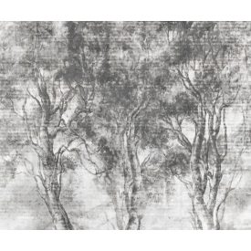 Rauv tapéta / Harmony