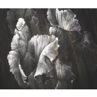 Rauv tapéta / Harmony