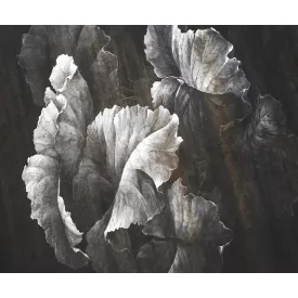 Rauv tapéta / Harmony