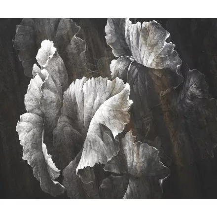 Rauv tapéta / Harmony