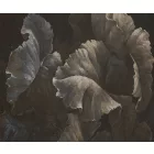 Rauv tapéta / Harmony