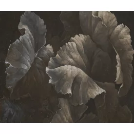 Rauv tapéta / Harmony