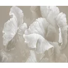 Rauv tapéta / Harmony