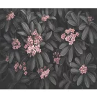 Rauv tapéta / Harmony