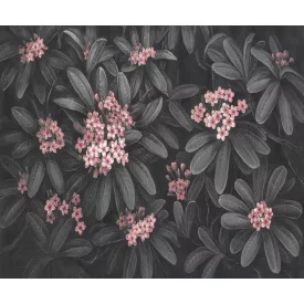 Rauv tapéta / Harmony