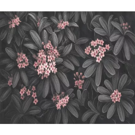 Rauv tapéta / Harmony