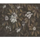 Rauv tapéta / Harmony