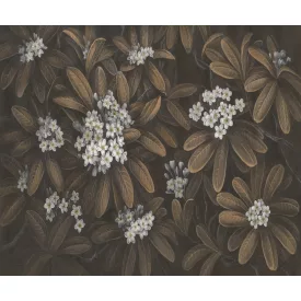 Rauv tapéta / Harmony