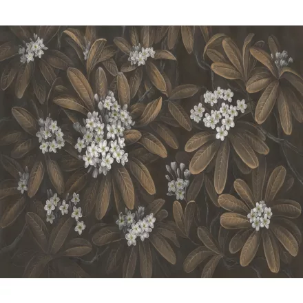 Rauv tapéta / Harmony