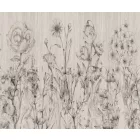 Rauv tapéta / Harmony