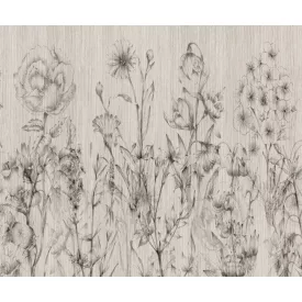 Rauv tapéta / Harmony