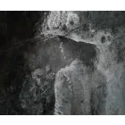 Rauv tapéta / Harmony