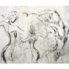 Rauv tapéta / Harmony