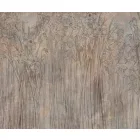 Rauv tapéta / Harmony