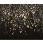 Rauv tapéta / Harmony