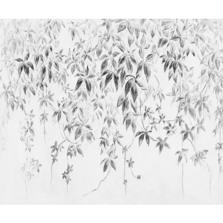 Rauv tapéta / Harmony