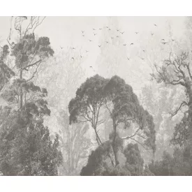 Rauv tapéta / Harmony