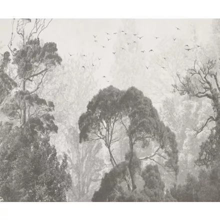 Rauv tapéta / Harmony