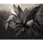 Rauv tapéta / Harmony