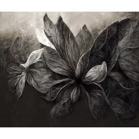 Rauv tapéta / Harmony