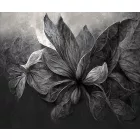 Rauv tapéta / Harmony