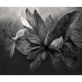 Rauv tapéta / Harmony