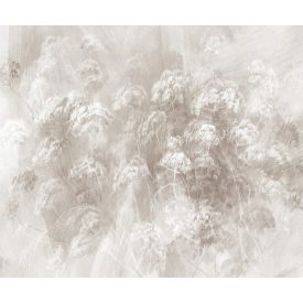 Rauv tapéta / Mirage