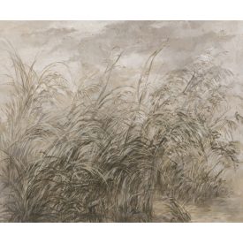 Rauv tapéta / Mirage