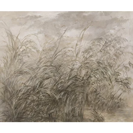 Rauv tapéta / Mirage